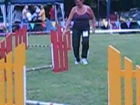 Puce - 1er concours - gambler