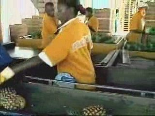 Ghana: Les impacts de l'African Growth and Opportunity Act