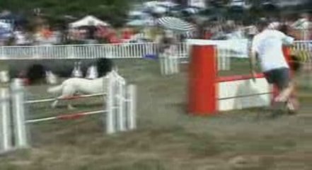 jumping 4 cibeins