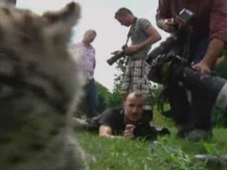Cute snow leopard makes Berlin zoo debut