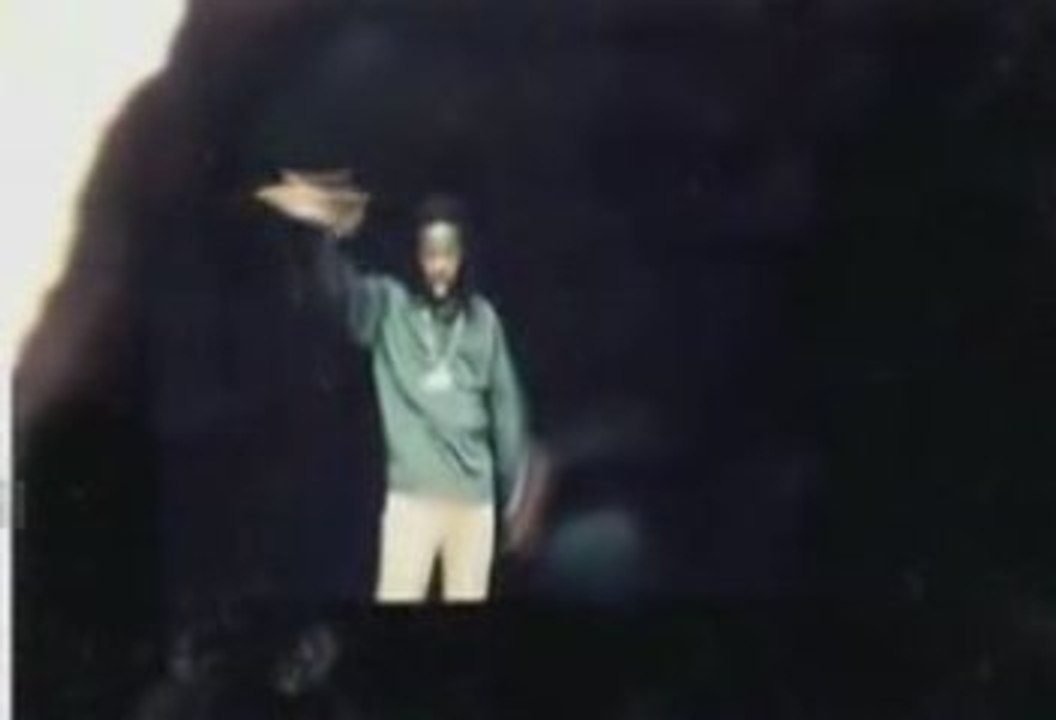 D'Influence - Shake It