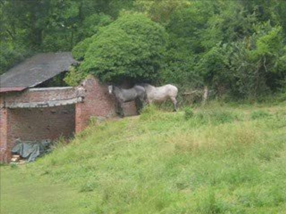 Petite Suprise pour ma Princesse
