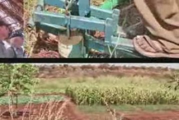 Ripple Effect - Malawi - WSU and Total Land Care