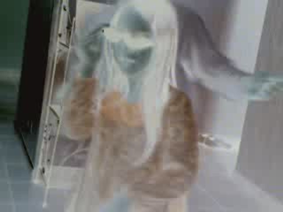 Webcam 1247510669988
