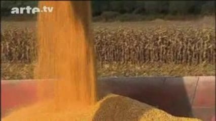 Vers Un crash Alimentaire