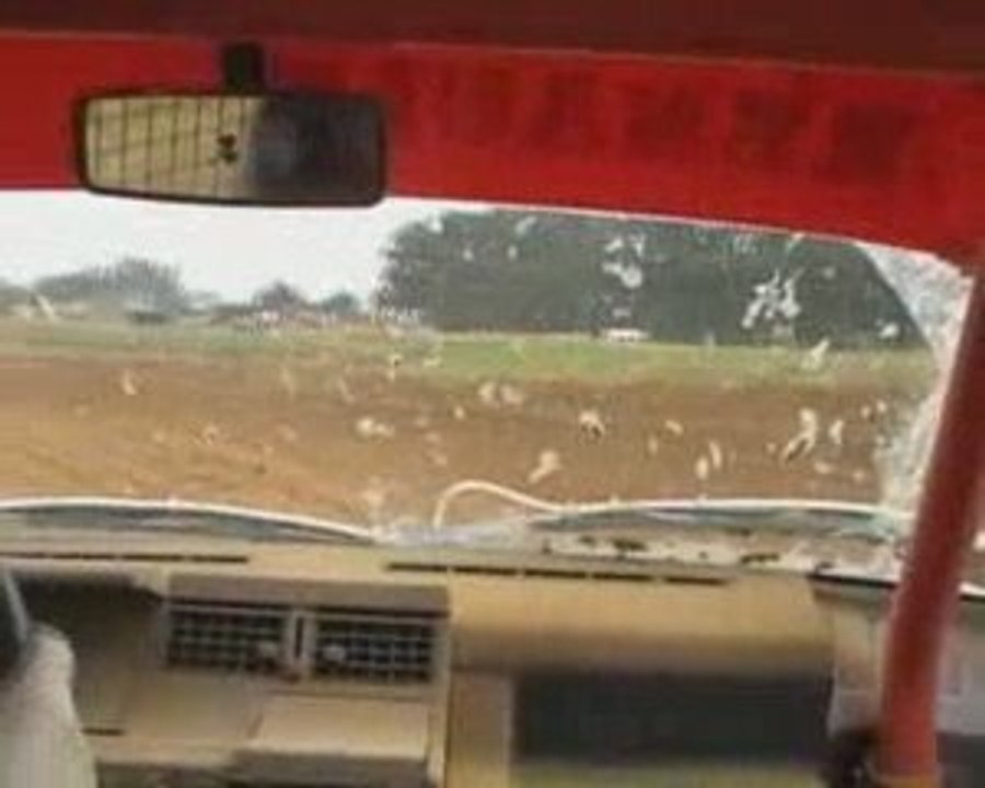 Autocross Poisson 09 Finale T2 en super 5..