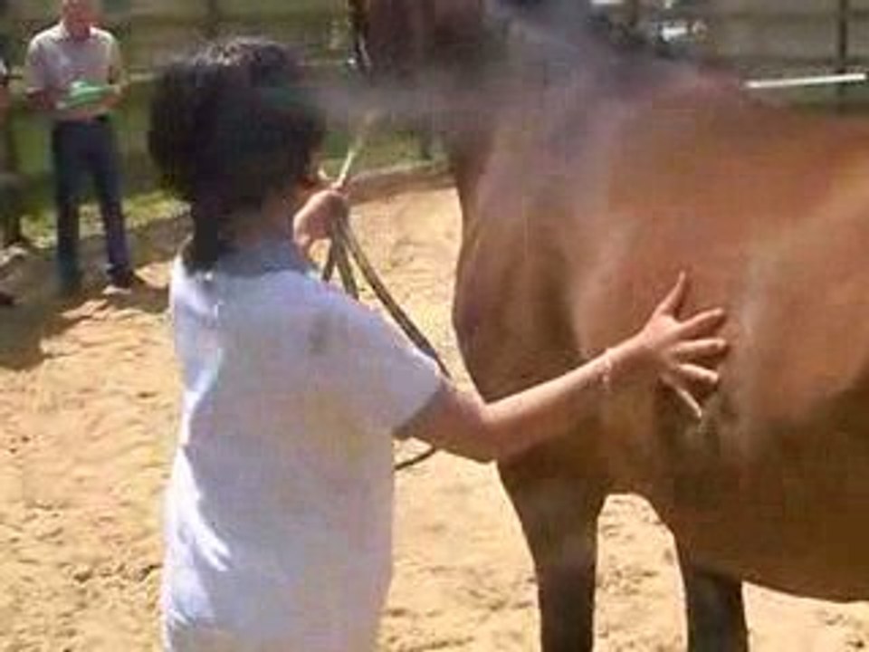 Siroco concours 3 ans - présentation modèle