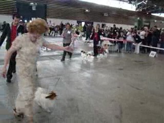 Exposition de Lyon 2009 - Baby Doll des Charmes d'Antan, ENC