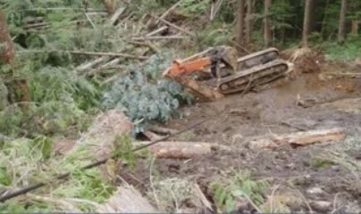 Worker survives excavator rollover - WorkSafeBC WorkSafe BC