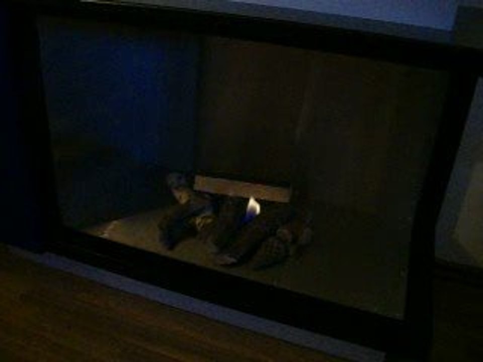 Feuer im biokamin