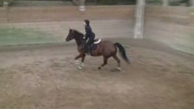 R MOI GALOP 3 OXER 120709