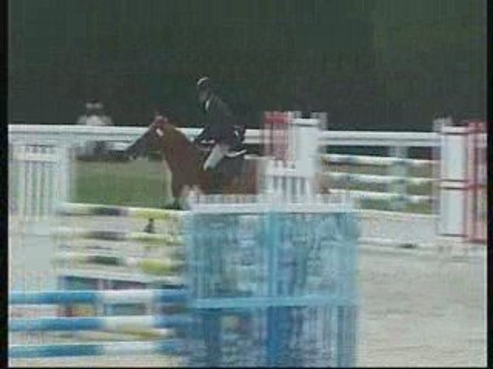 ROMARIN DU GUILLY (CIR 4 ANS LE LION D'ANGERS)