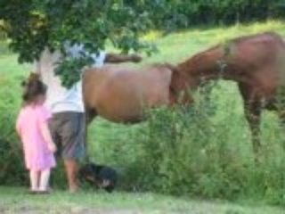 Lou-Ann, JAcques et les chevaux