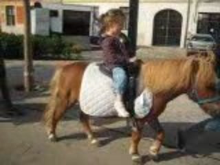 Lou-Ann poney à Douai