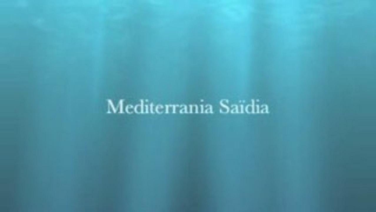 mediterrania Saidia