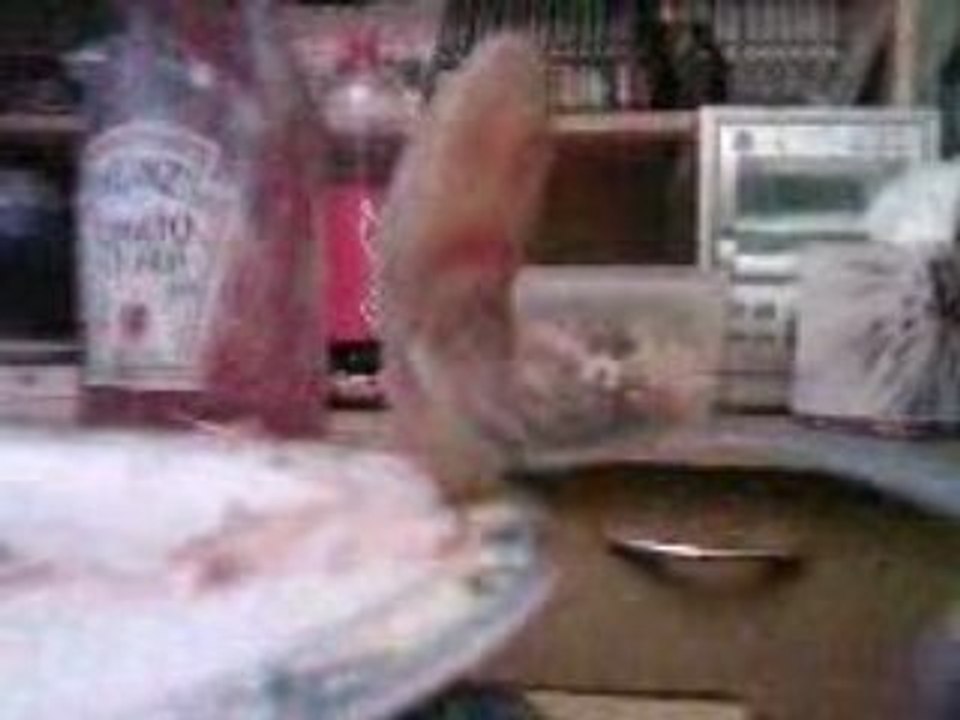 La Patate Franck et ses (més)aventures