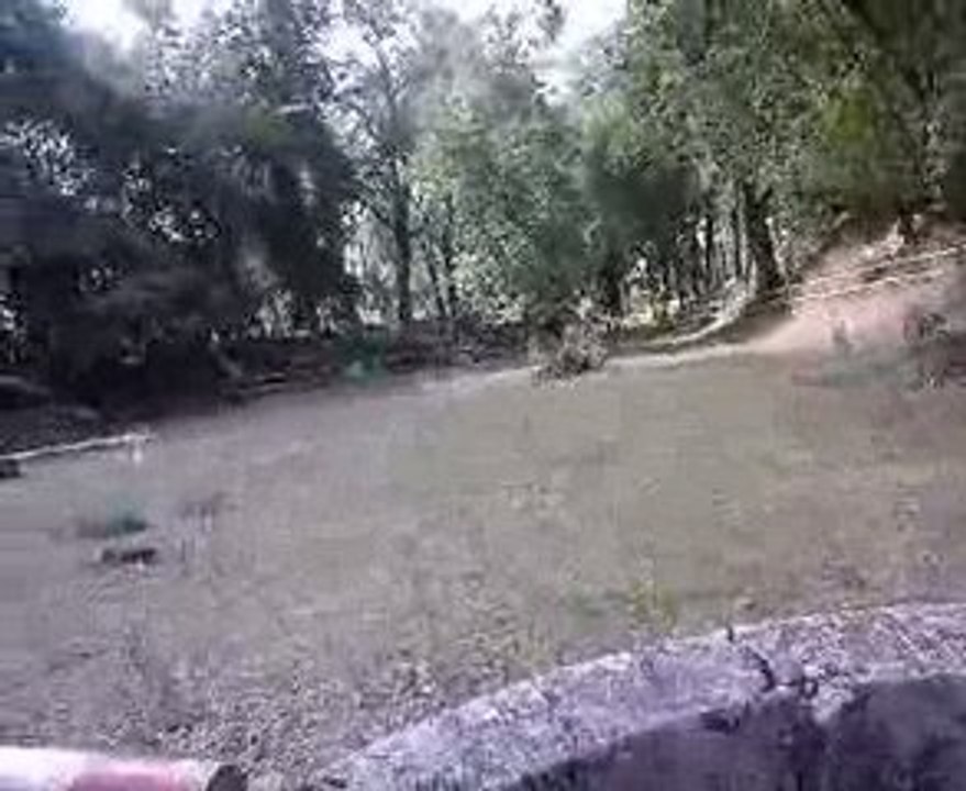 Samsara & moi au saut d'obstacle