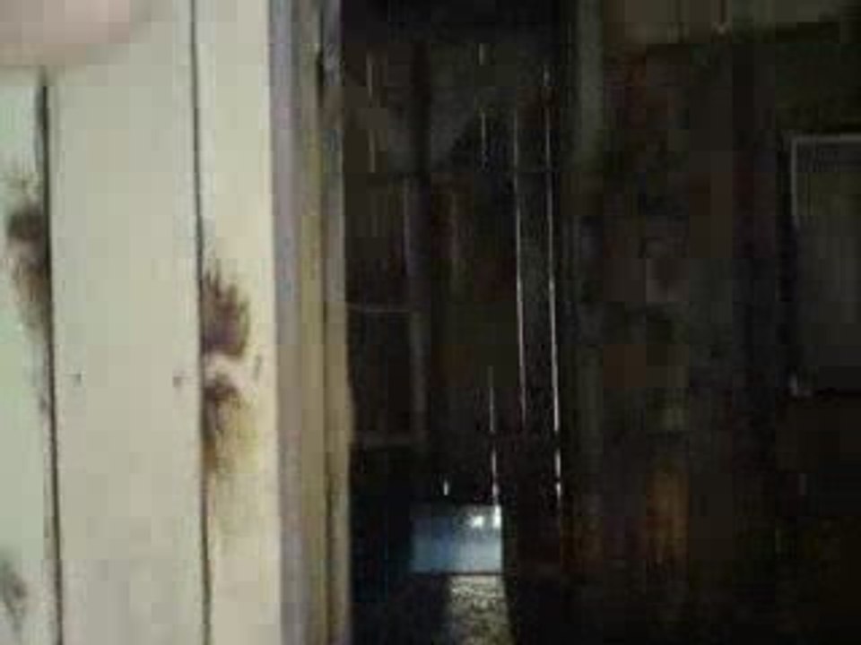 Cabane diluvienne