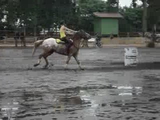 western lamotte beuvron