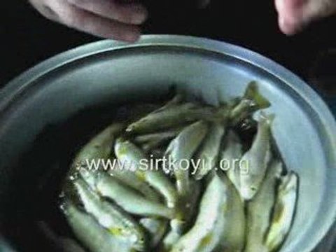 Balık deresinde balık tuttuktan sonra, balıkları sayarken