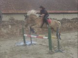 Seance Dressage et Saut