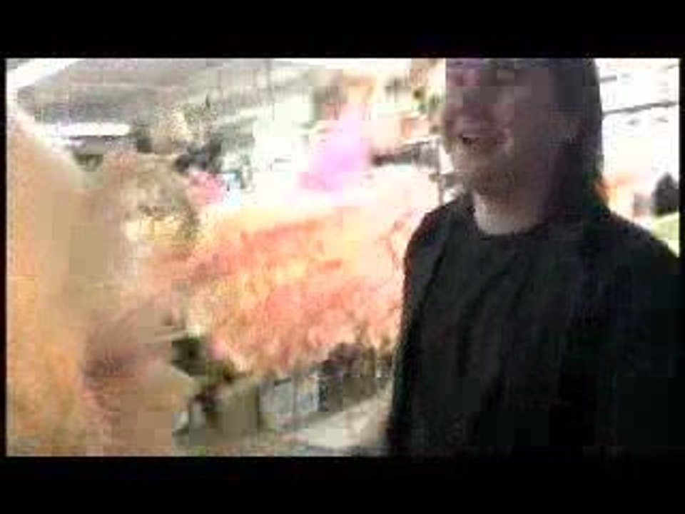 Victoria's Secret Wings Episode 1
