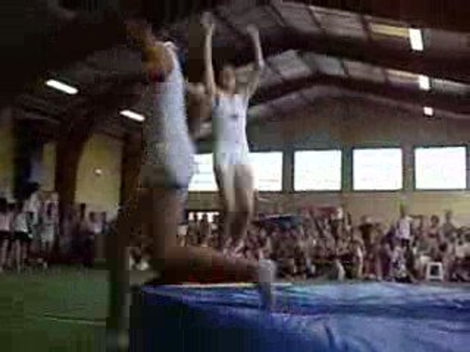 Trempoline saut carper demi tour -Remise recompense 03.07.09