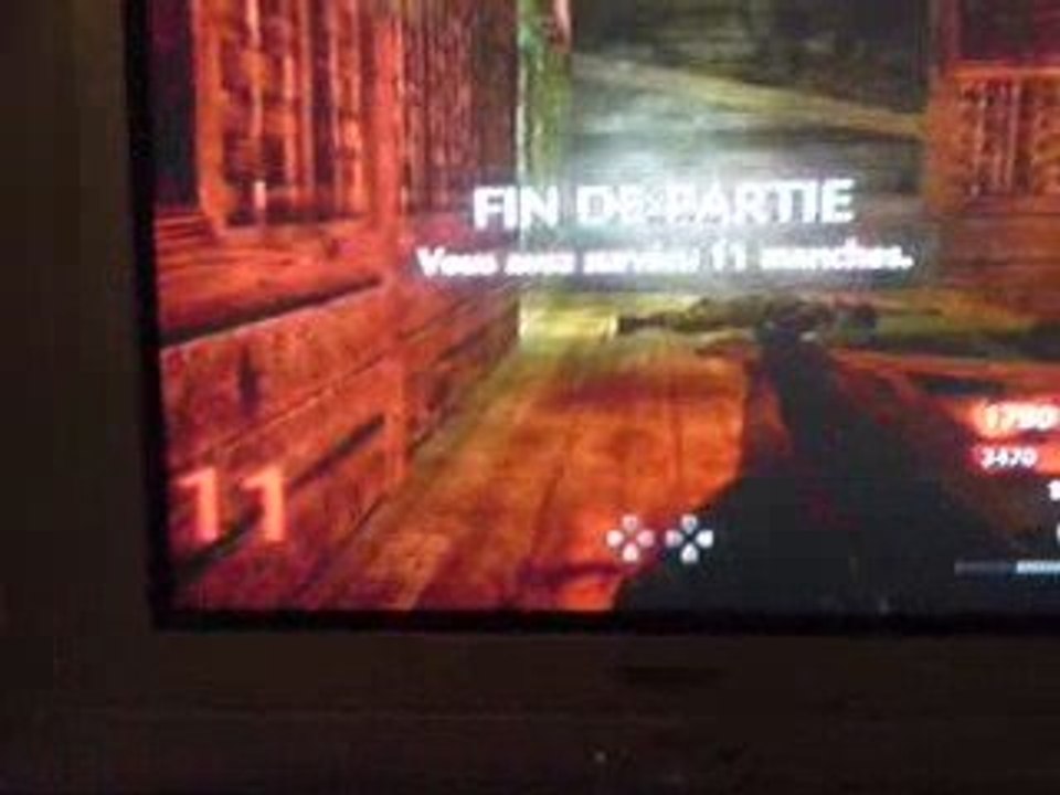 call of duty zombie Shi No Numa