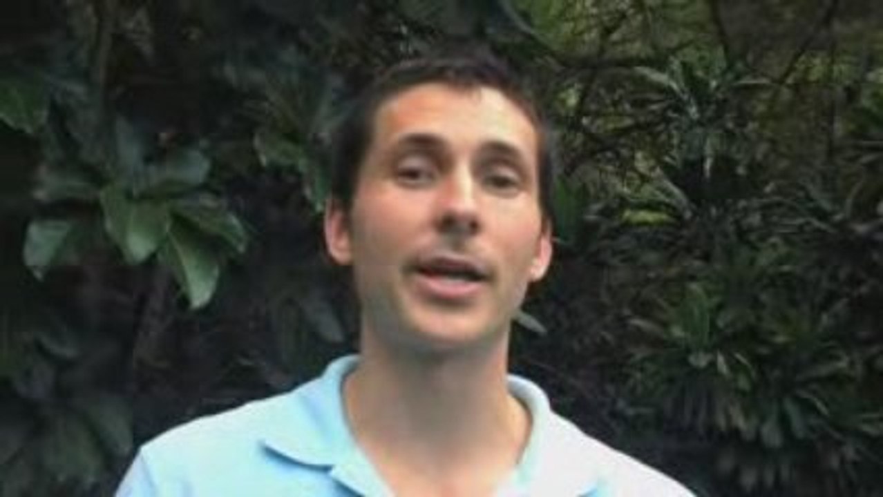 SEO TIP 4 Basic SEO Tricks for Newbies!