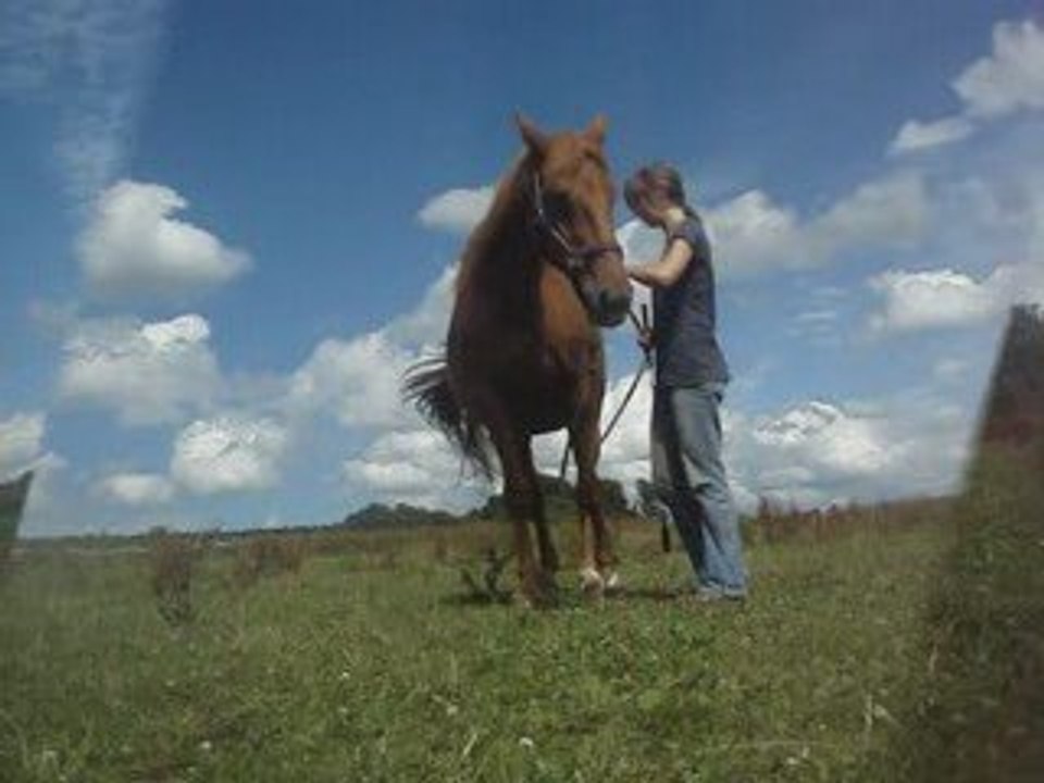 Juillet 2009