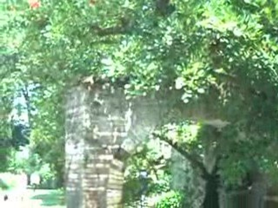 Visita al giardino di Ninfa