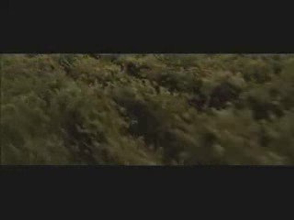 Harry Potter 6 extrait N°4 L'attaque du terrier .