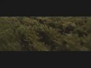 Harry Potter 6 extrait N°4 L'attaque du terrier .