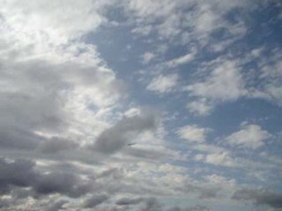 aile volante swift 2