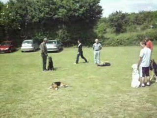 AURELIE ,Le couché ,en l'absence de la maitresse  A.G.E.C.