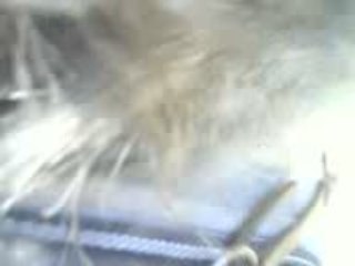 remise des prix 12/07/2009 SIMON (alias BG)