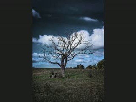 Linkin Park - Shadow of the Day (Cover Piano)