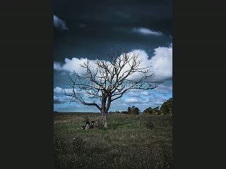 Linkin Park - Shadow of the Day (Cover Piano)