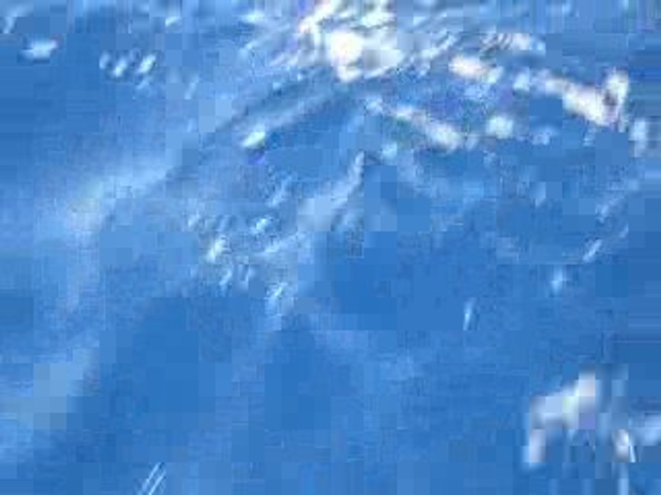 jet avec les dauphins