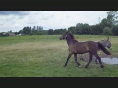 ulrikaperou martin 100709 2