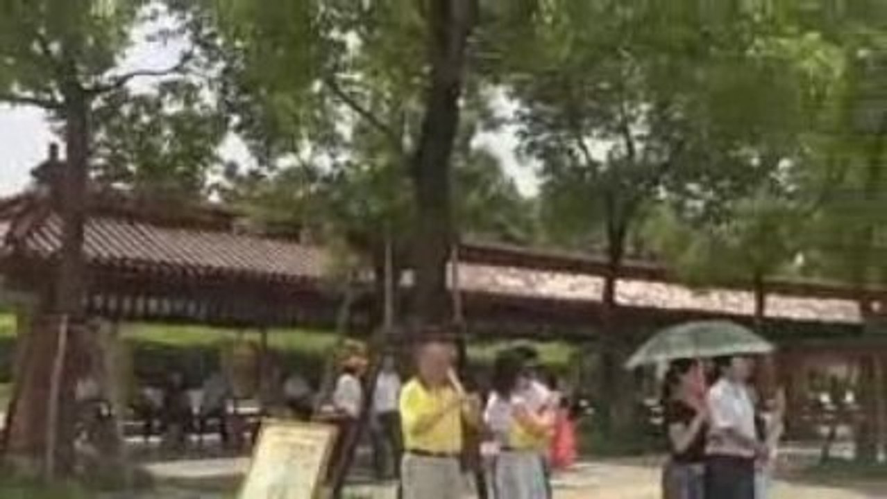 BuildDirect in China July 2009, Part 1