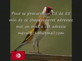 CD Chant du chardonneret de TUNISIE