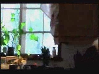 Wild Panda Breaks into my House