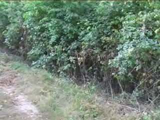 Entrainement dans la voie du sanglier