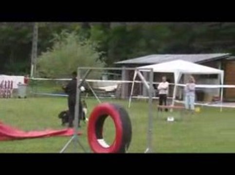 Aston Open Agility Jeurre 12/07/2009