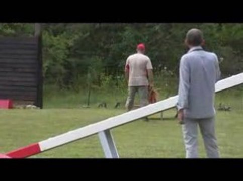 Bango Degré Agility Jeurre 12/07/2009