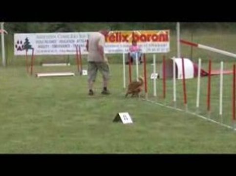 Bango Jumping Agility Jeurre 12/07/2009
