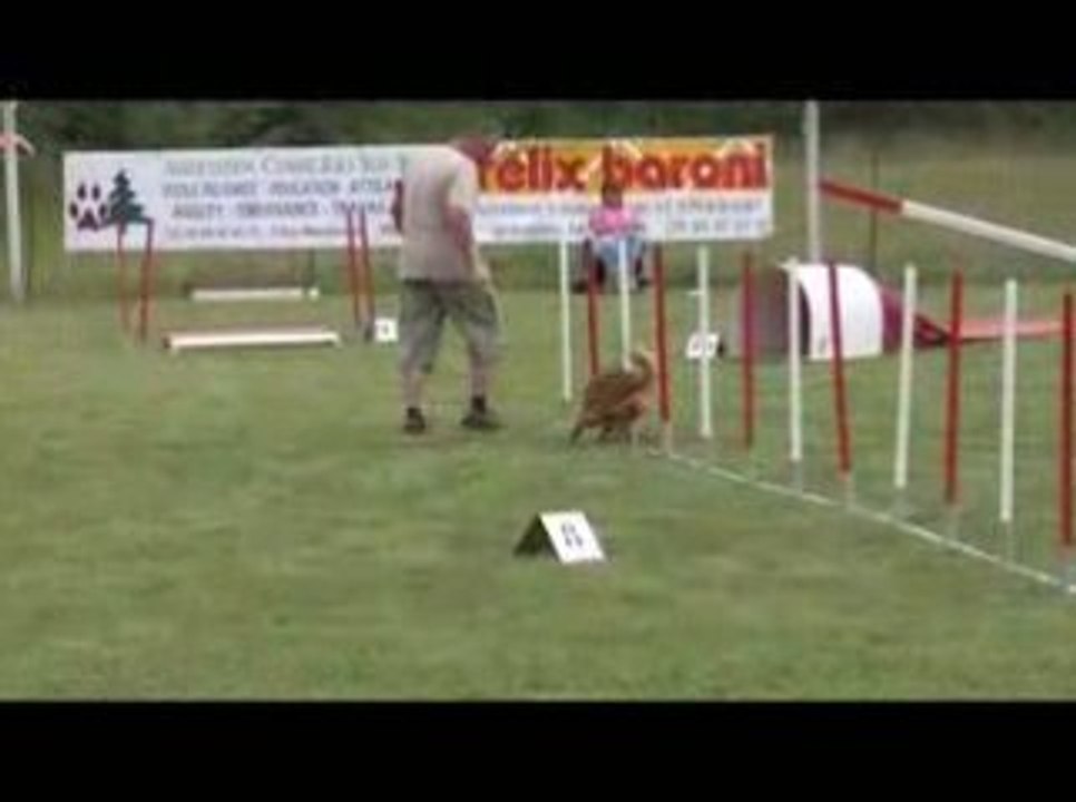 Bango Jumping Agility Jeurre 12/07/2009