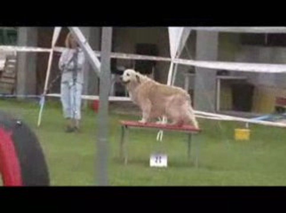 Salsa Open Agility Jeurre 12/07/2009