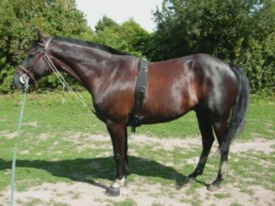 iso 14 juillet longe